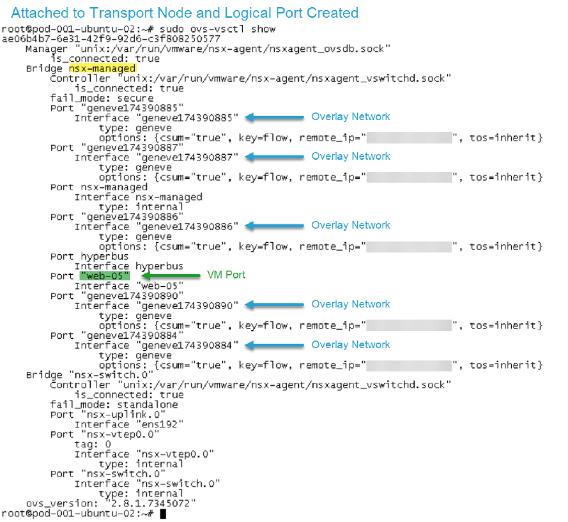 Screenshot of terminal output showing details of network ports and connections, with annotations marking &ldquo;Overlay Network&rdquo; and &ldquo;VM Port&rdquo; in a VMware NSX environment.